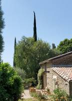 PIERRE-MARIE BOIRIN - BOIRIN PIERRE-MARIE